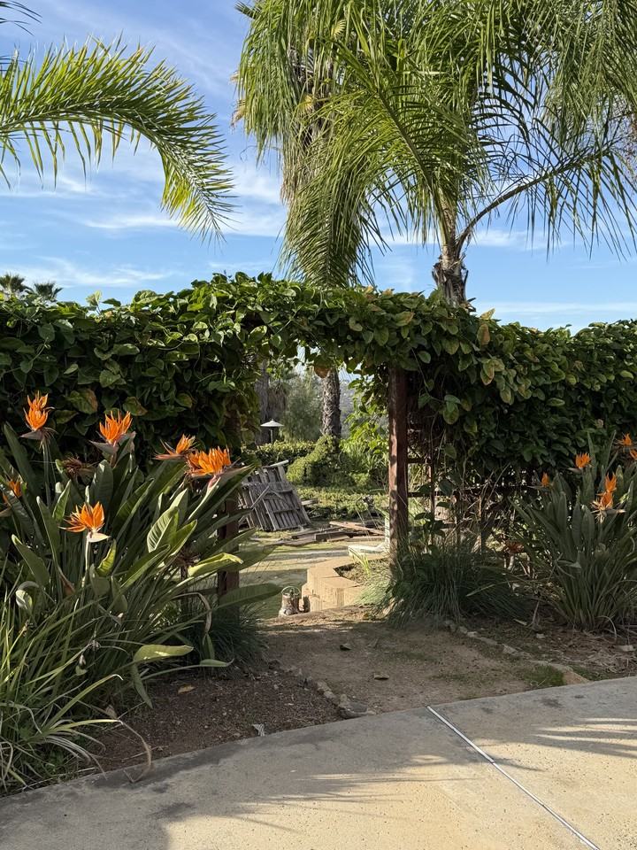 28320 Serenity Path #NA - Photo 3 of 23