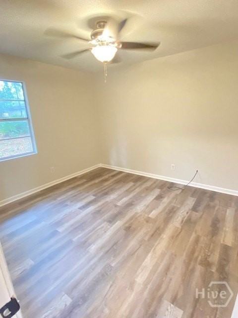 635 Maxwell St - Photo 7 of 9