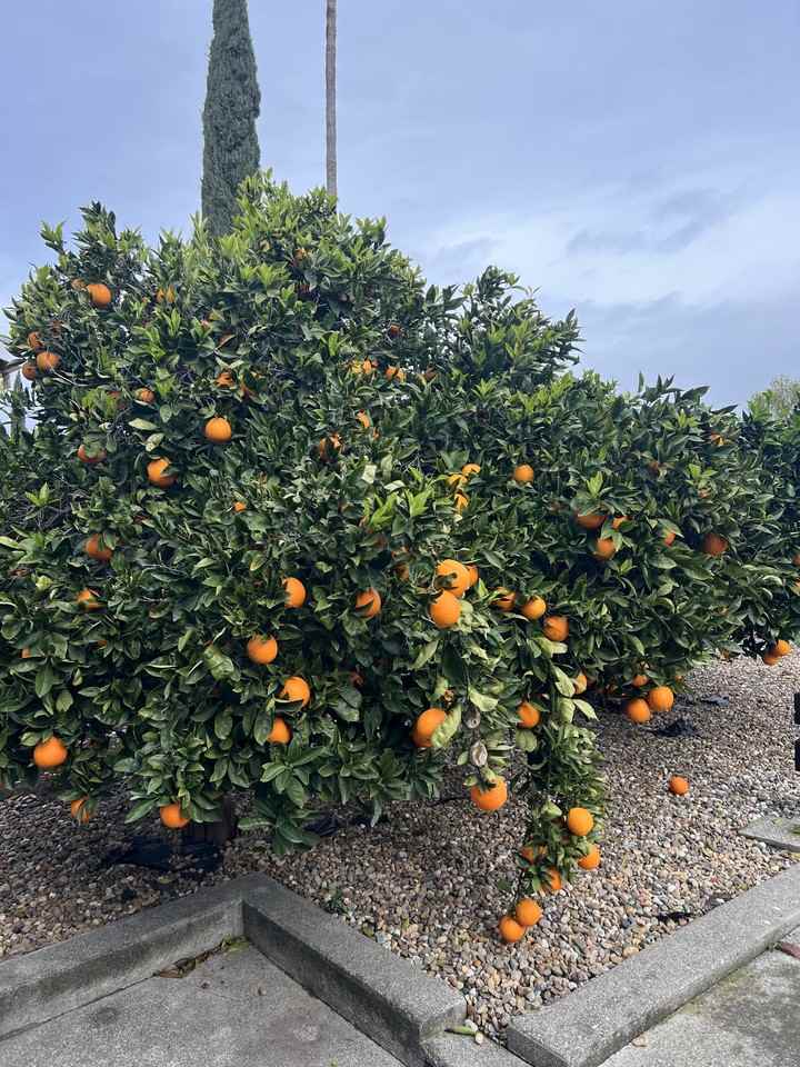 381 Spindrift Way #NA - Photo 3 of 11