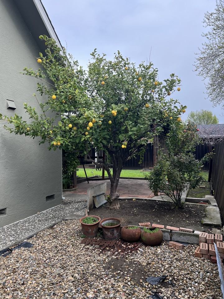 381 Spindrift Way #NA - Photo 4 of 11