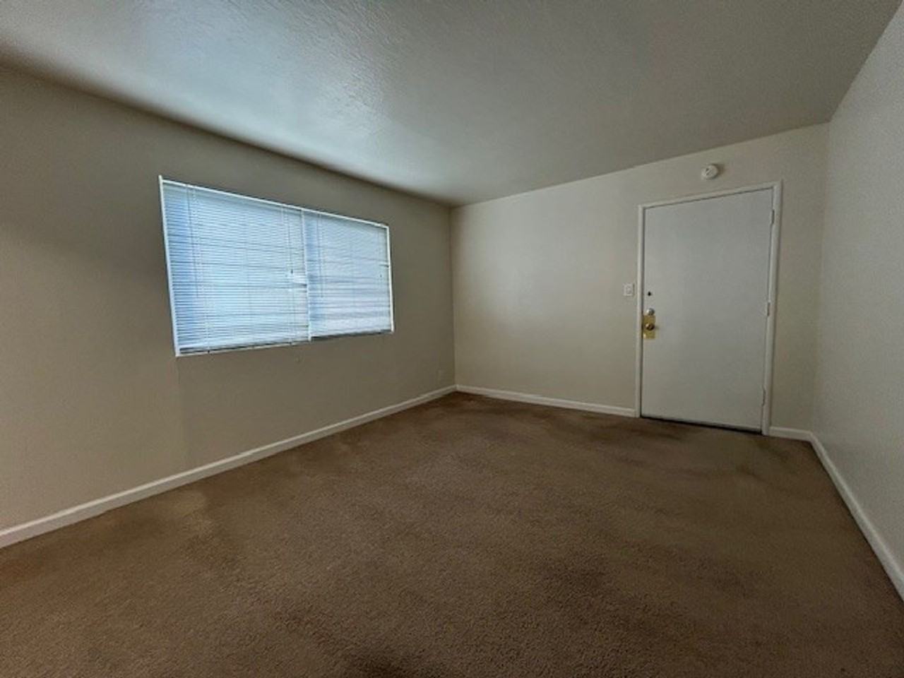 2115 Haste St #301 - Photo 6 of 12