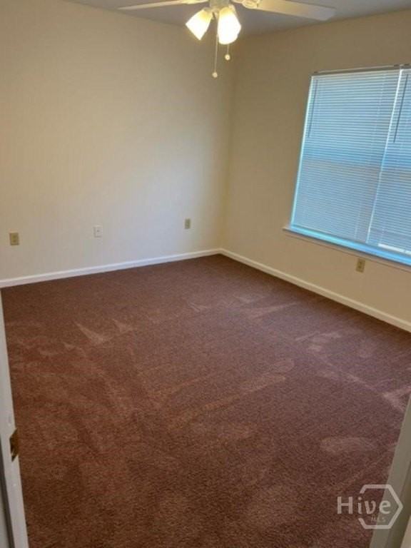 9832 Whitefield Ave - Photo 7 of 11