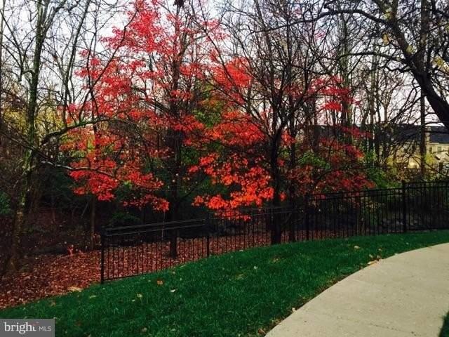 5700 Chapman Mill Dr - Photo 4 of 13