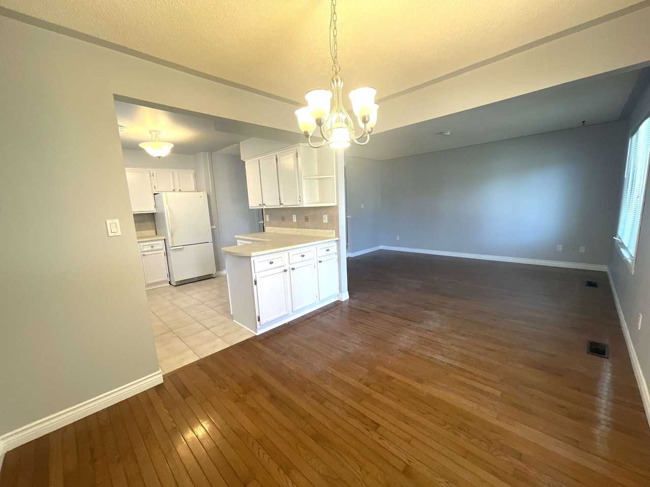 1239 Norfolk Ave #MAIN - Photo 2 of 13