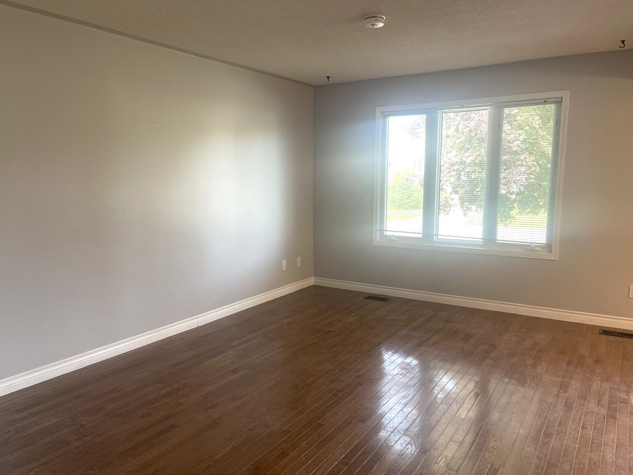 1239 Norfolk Ave #MAIN - Photo 3 of 13