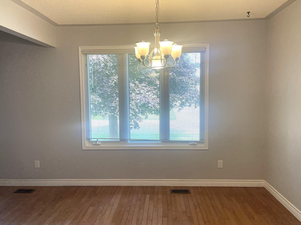 1239 Norfolk Ave #MAIN - Photo 4 of 13