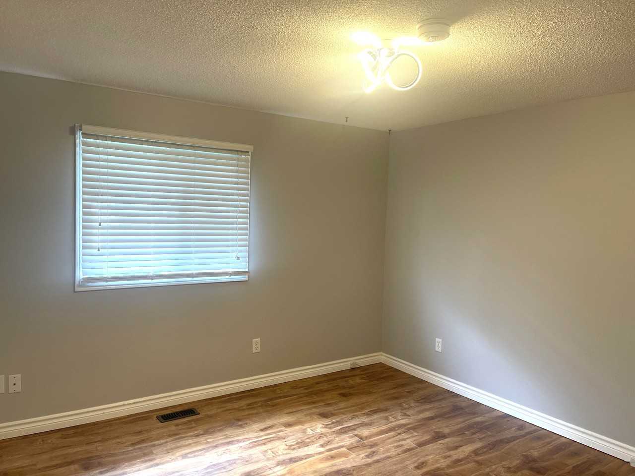 1239 Norfolk Ave #MAIN - Photo 7 of 13