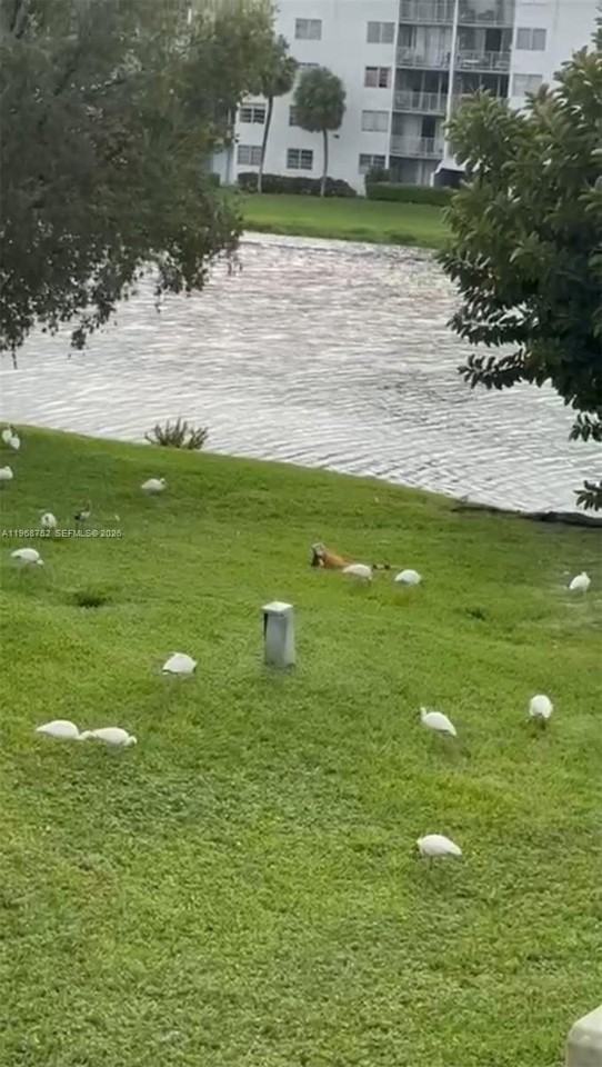 506 Nw 87th Ave #201 - Photo 7 of 20