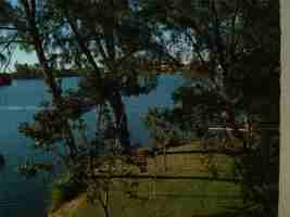 featured image of 10090 Nw 80th Ct #1321