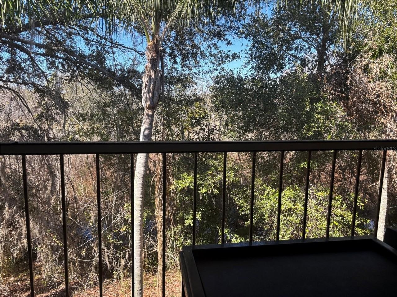 8838 Coral Palms Ct #B - Photo 5 of 21