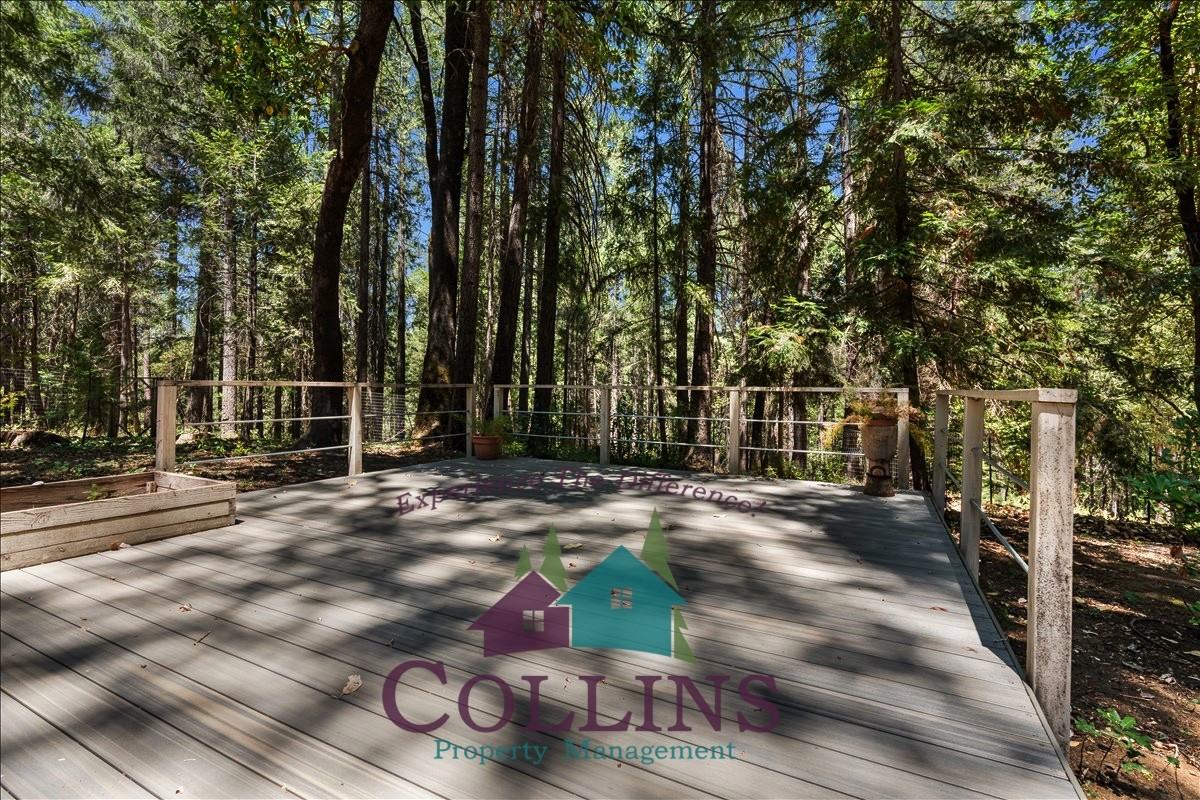 20638 Rector Rd #1 - Photo 3 of 25