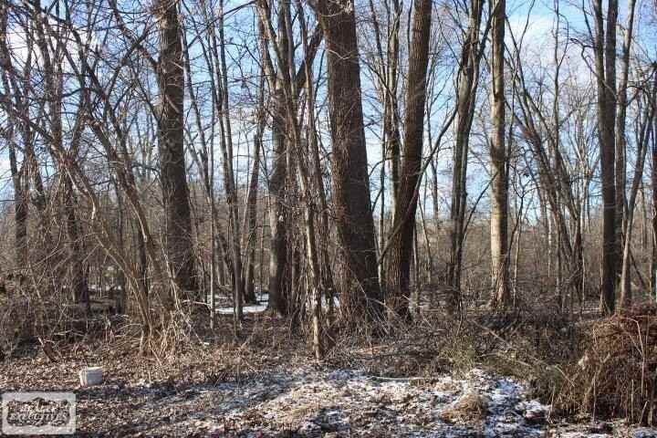 26924 Campau Ln - Photo 6 of 11