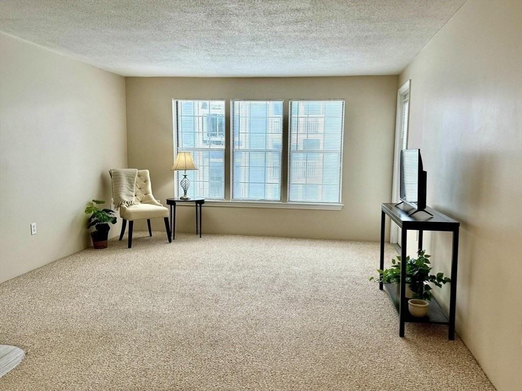 18 Walden Dr Apt 8 #8 - Photo 6 of 19