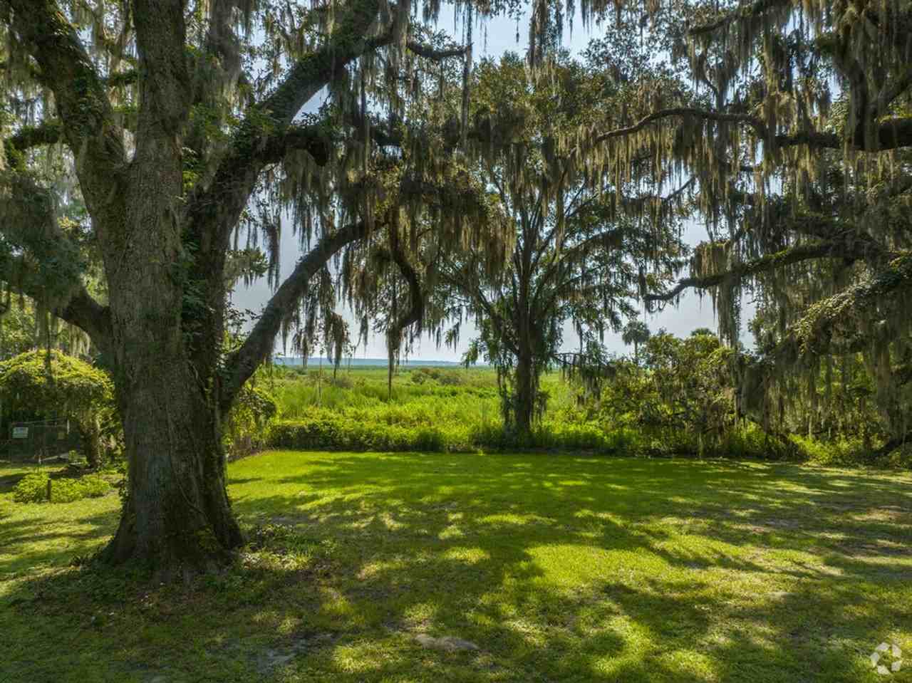 The Grande @ Gainesville - Photo 6 of 10