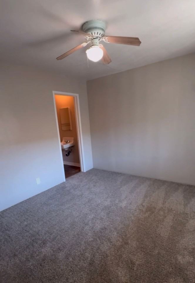 Alpine Apartments - Photo 4 of 6