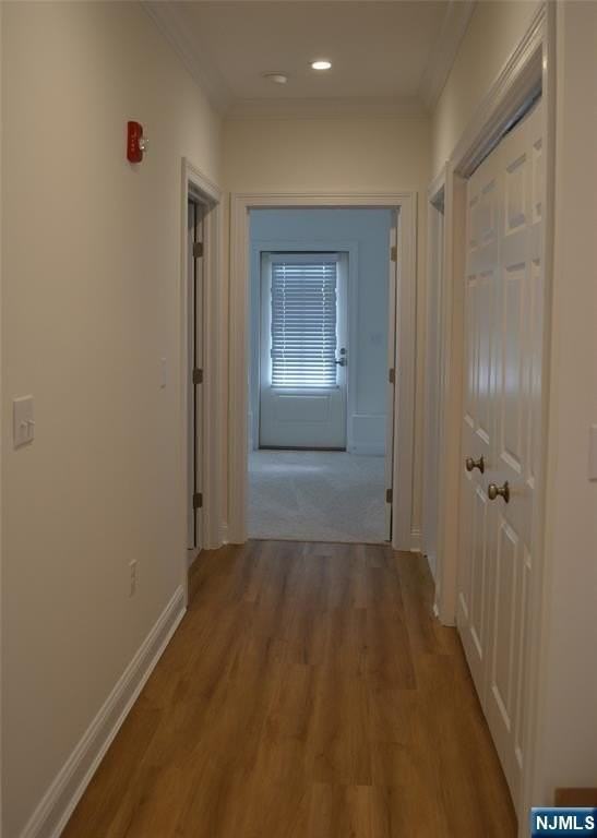 201 Franklin Ave - Photo 6 of 16