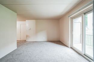 275 Glen Riddle Road - Photo 1 of 1