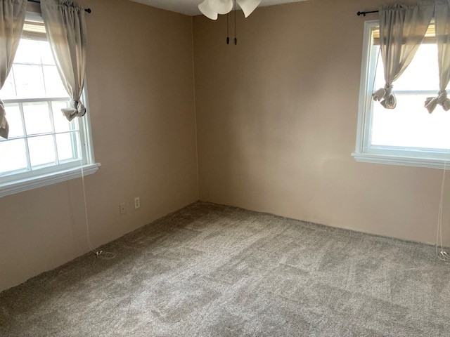 3016 8th Ave #1 - Photo 6 of 14