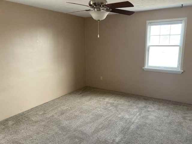 3016 8th Ave #1 - Photo 7 of 14