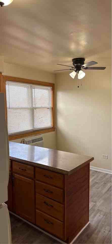 10124 South Pulaski Road - 3S #10124-3S - Photo 2 of 19