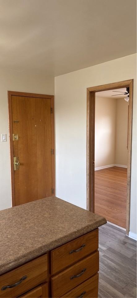 10124 South Pulaski Road - 3S #10124-3S - Photo 3 of 19