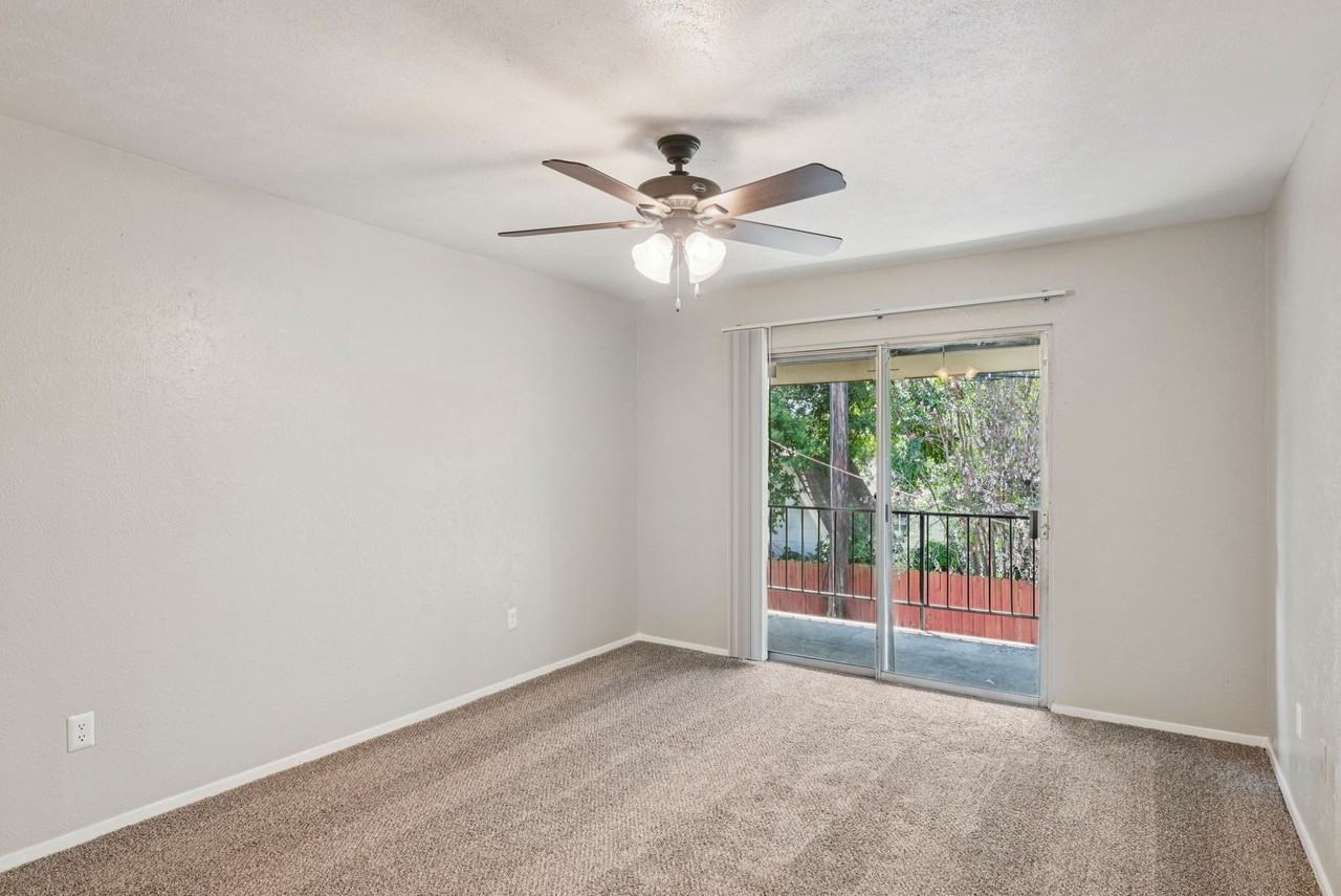 Woodwind - Photo 3 of 6