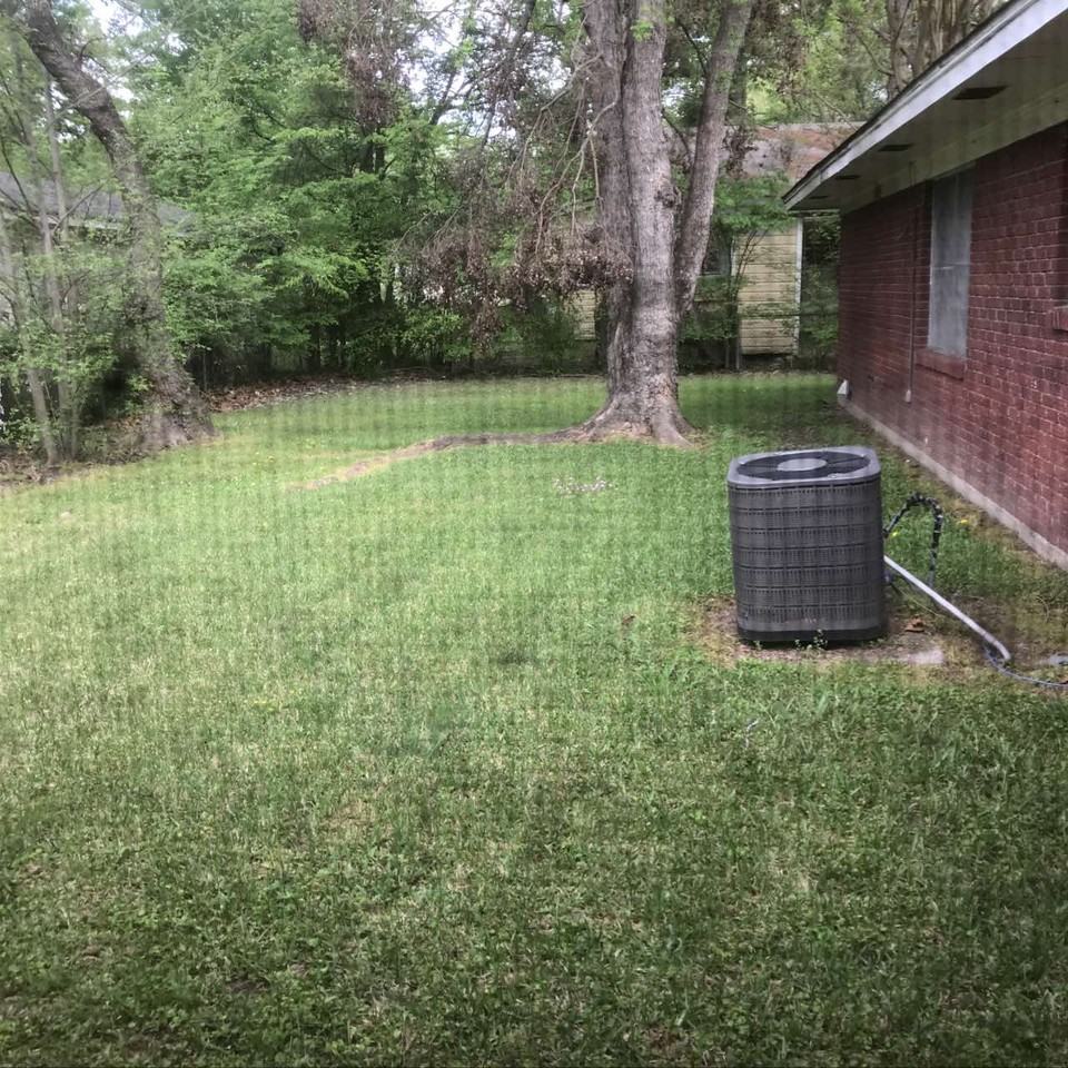 300 Haynes StreetApt A #1 - Photo 6 of 15