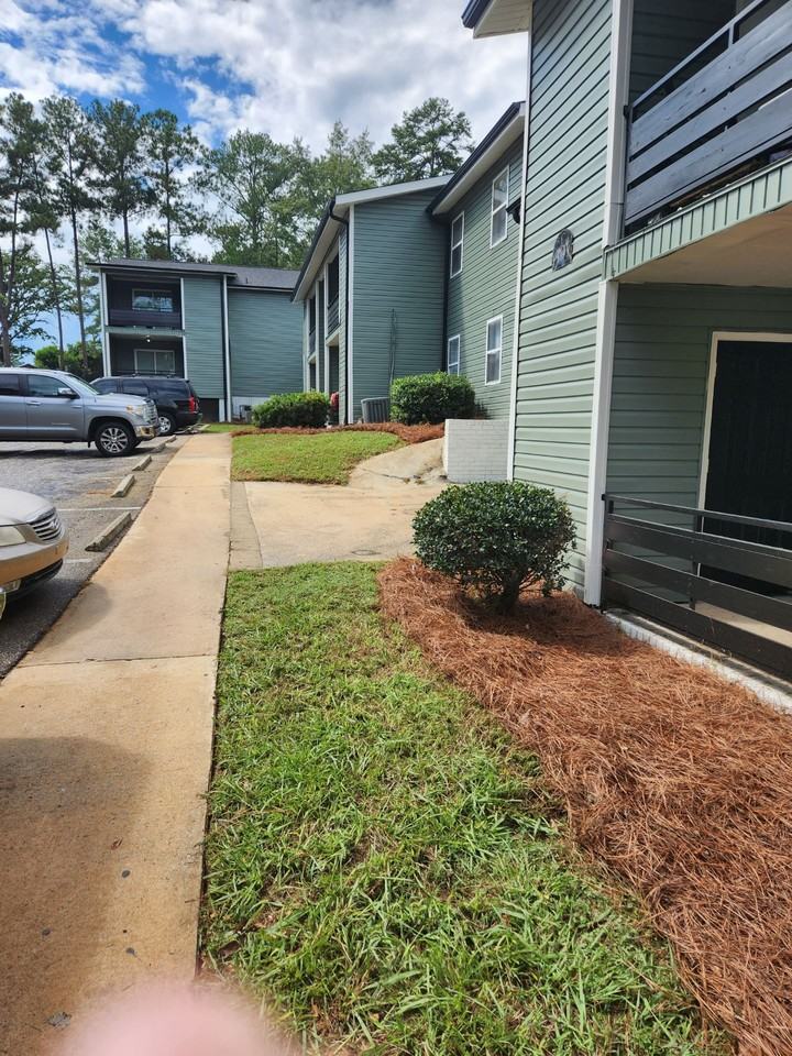 Columbia Rising - Photo 4 of 42