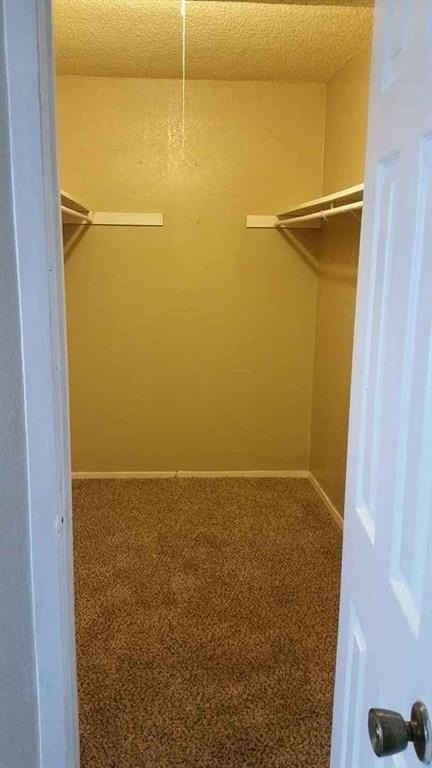 2446 Buffalo Gap Rd #188 - Photo 3 of 10