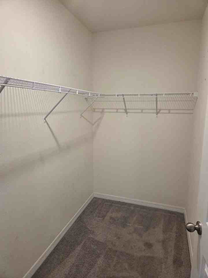 17007 Blister Wing Dr - Photo 6 of 9