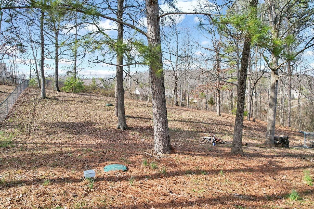 217 Home Place Ct Se - Photo 7 of 42