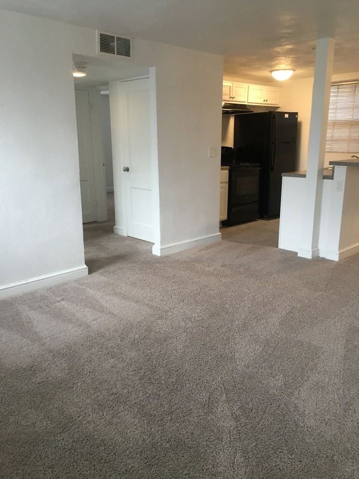 231 Chestnut St - Photo 6 of 20