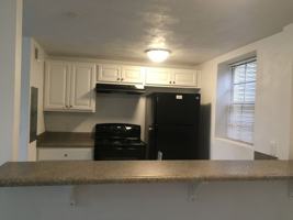 featured image of 231 Chestnut St