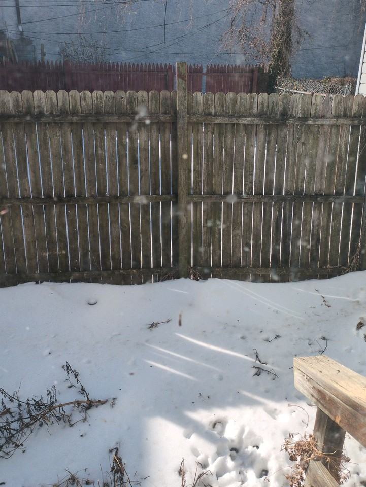 1808 W 3rd St #1 - Photo 5 of 10