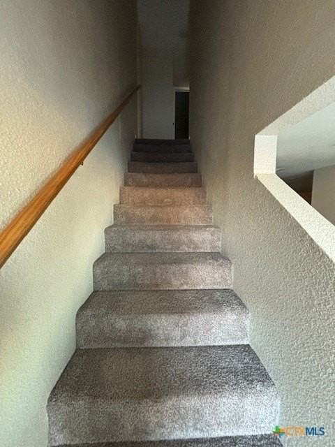 4304 Mattie Dr - Photo 5 of 9