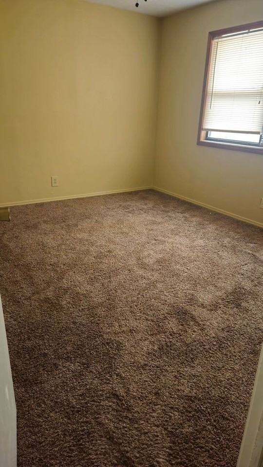 Magnolia - Photo 4 of 16