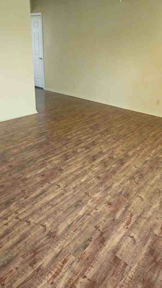 Magnolia - Photo 6 of 16