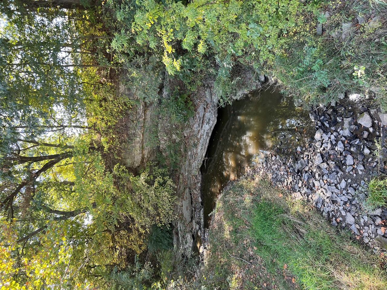 15105 Jowler Creek Rd #1 - Photo 6 of 7