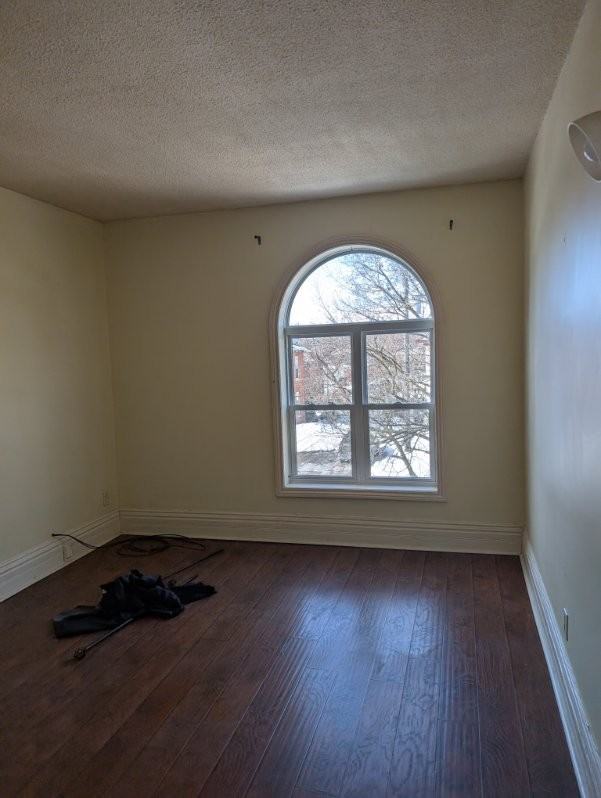 540 Downie St - Photo 6 of 12