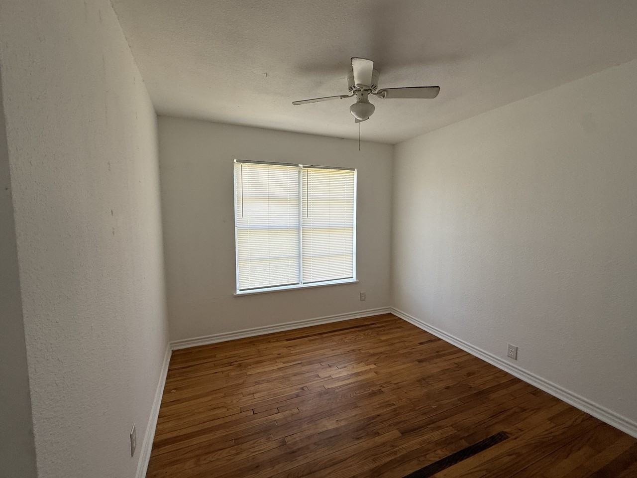 15 Macarthur Dr #1 - Photo 6 of 17