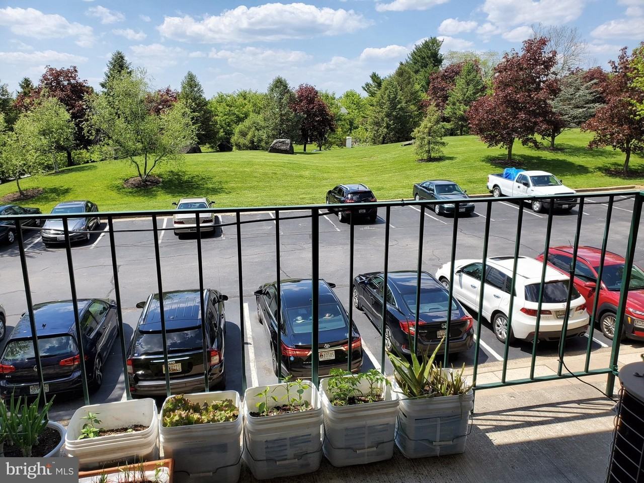 1100 Lisadale Cir Apt 2d #2D