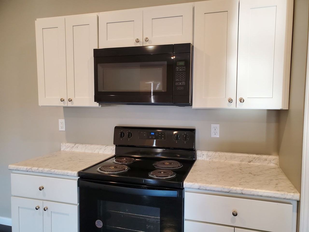 231 Cane Creek Ln - Photo 4 of 14