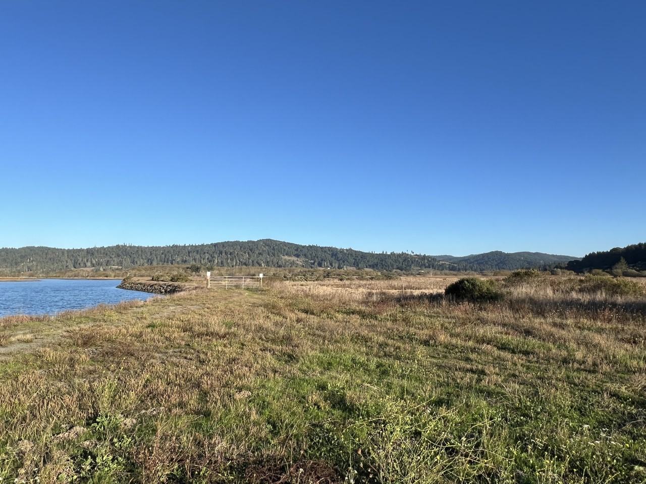 3041 Table Bluff Rd #1 - Photo 4 of 28