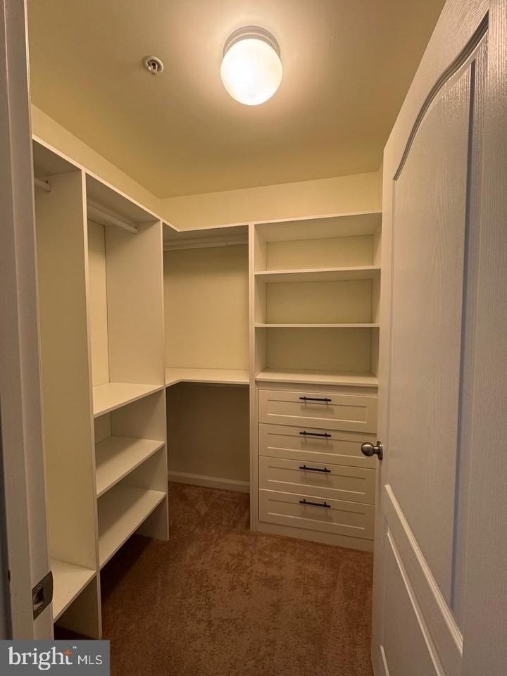 7925 Alchemy Way - Photo 7 of 46