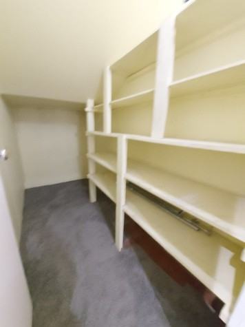 Beautifully Renovated 4 Bedroom Home in Highland Green!!! - Photo 3 of 25