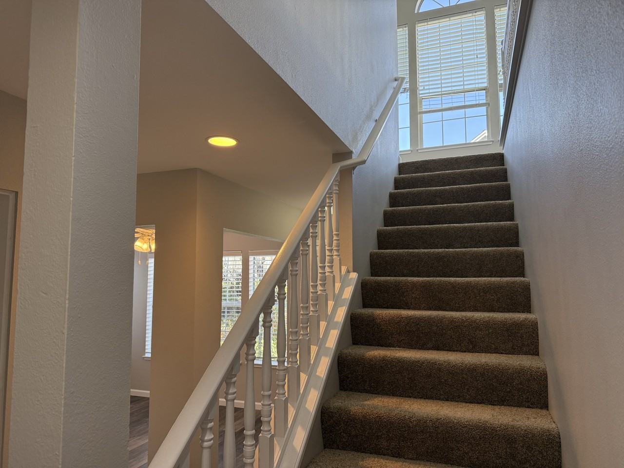 558 Torrey Pine Ln #1 - Photo 6 of 20