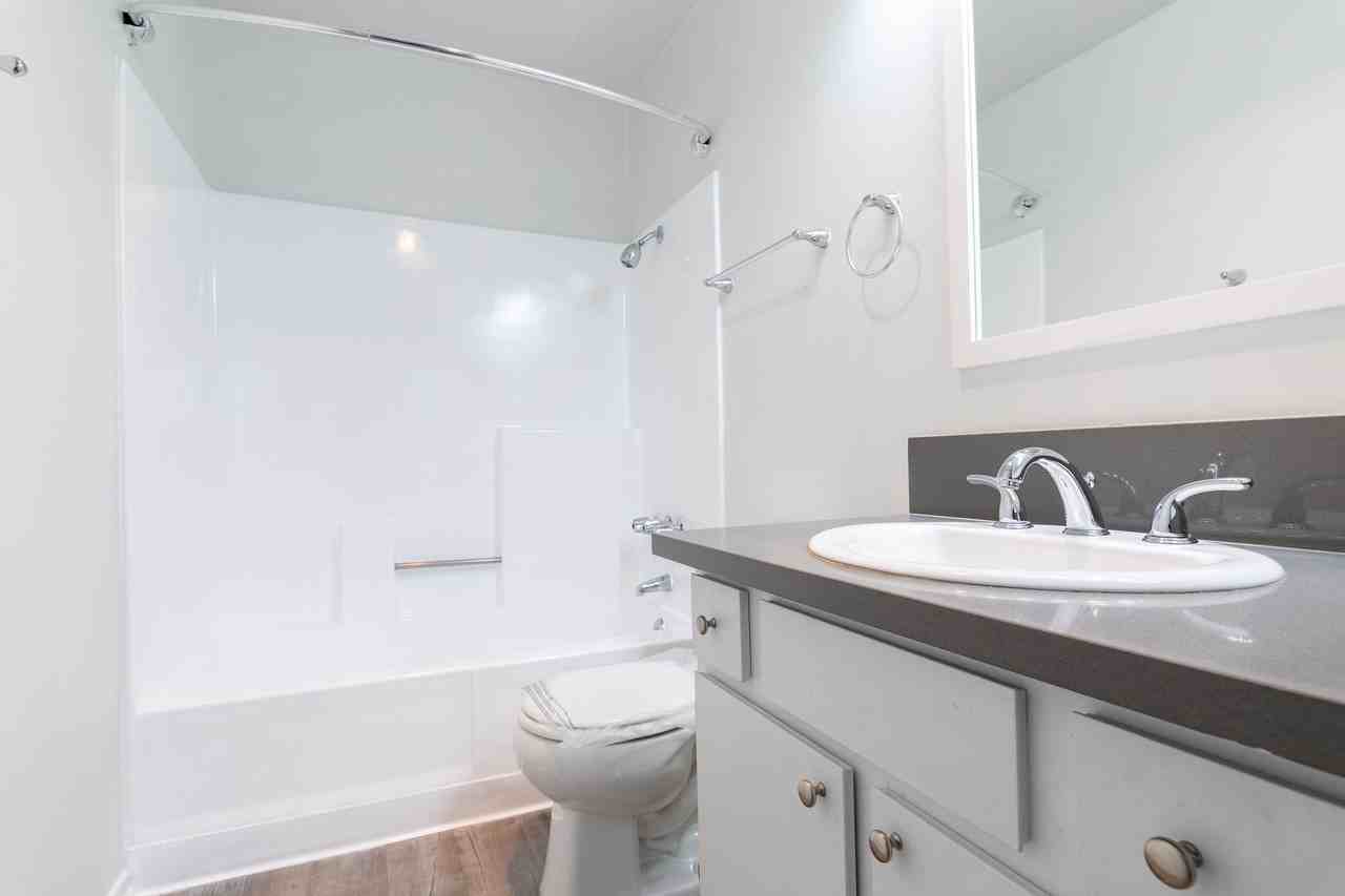 Beautiful Spacious Units - Photo 4 of 9