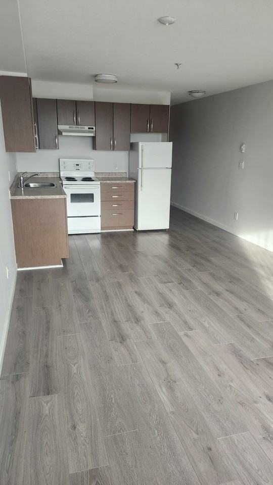 3683 Hastings St E #316