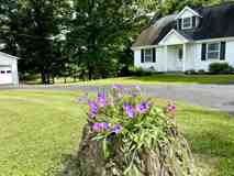 1405 Webb Ridge Rd #1 - Photo 1 of 1