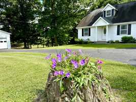 featured image of 1405 Webb Ridge Rd #1